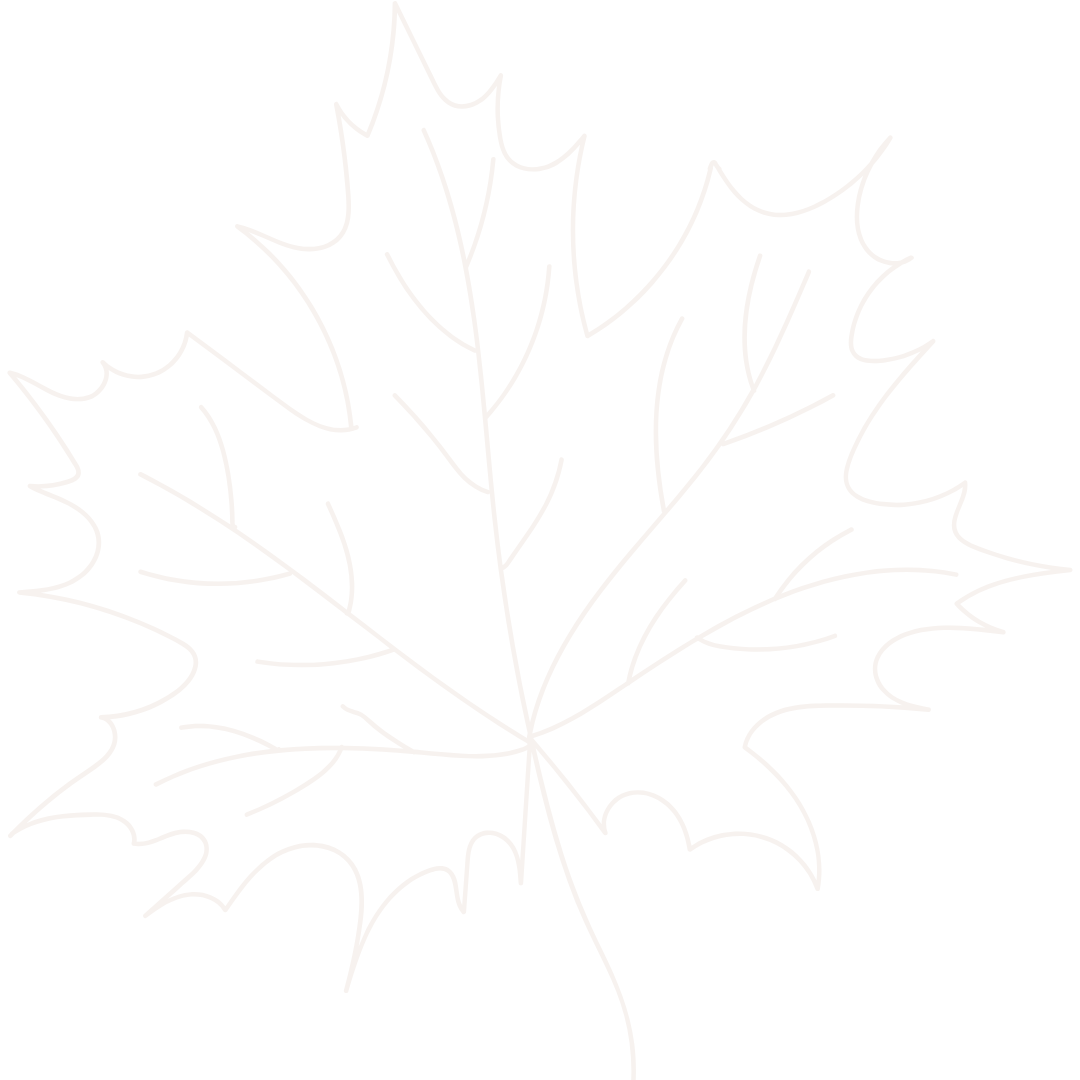 feature-item-1